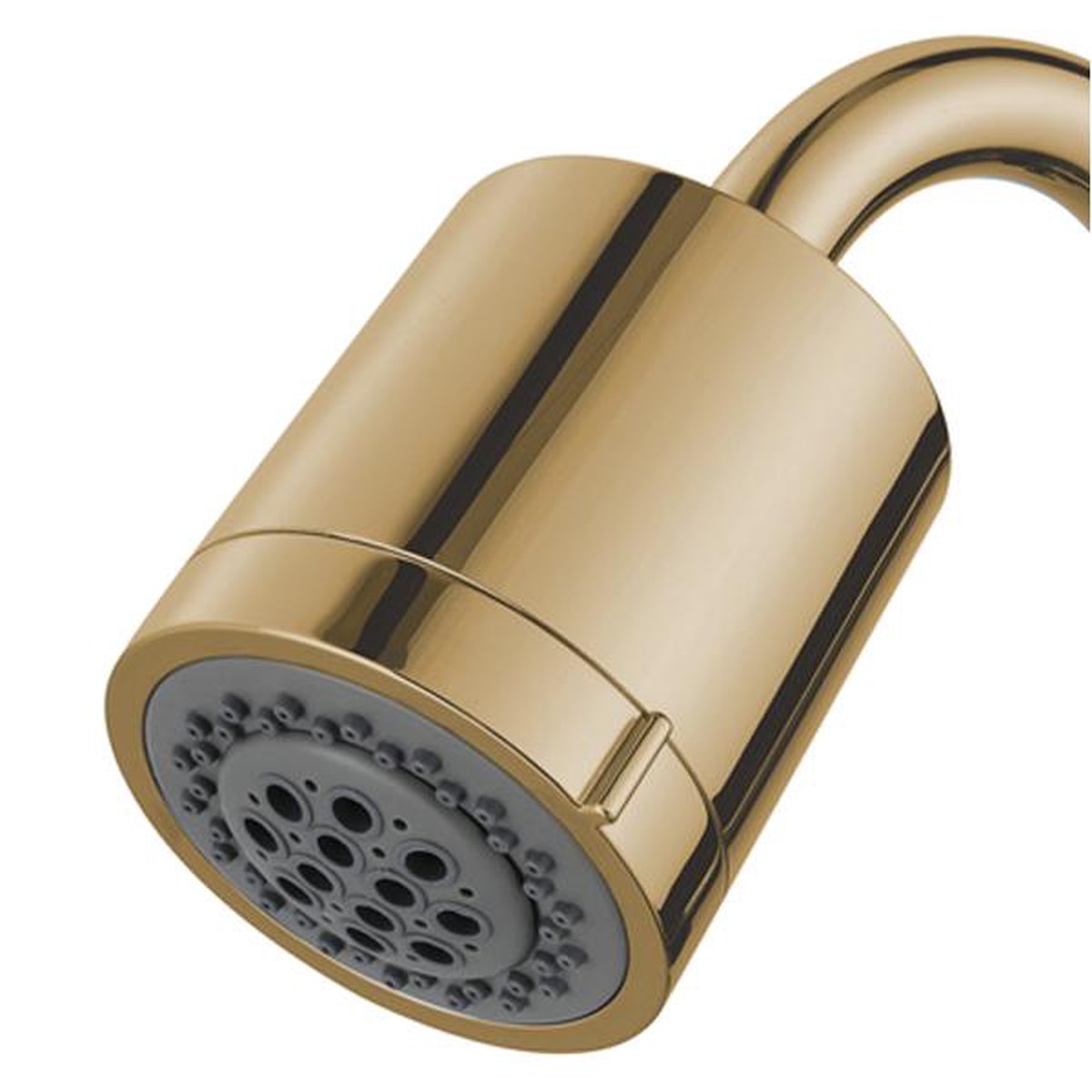 Kingston Brass Concord K PVC 2 Function Shower Head in Polished Brass