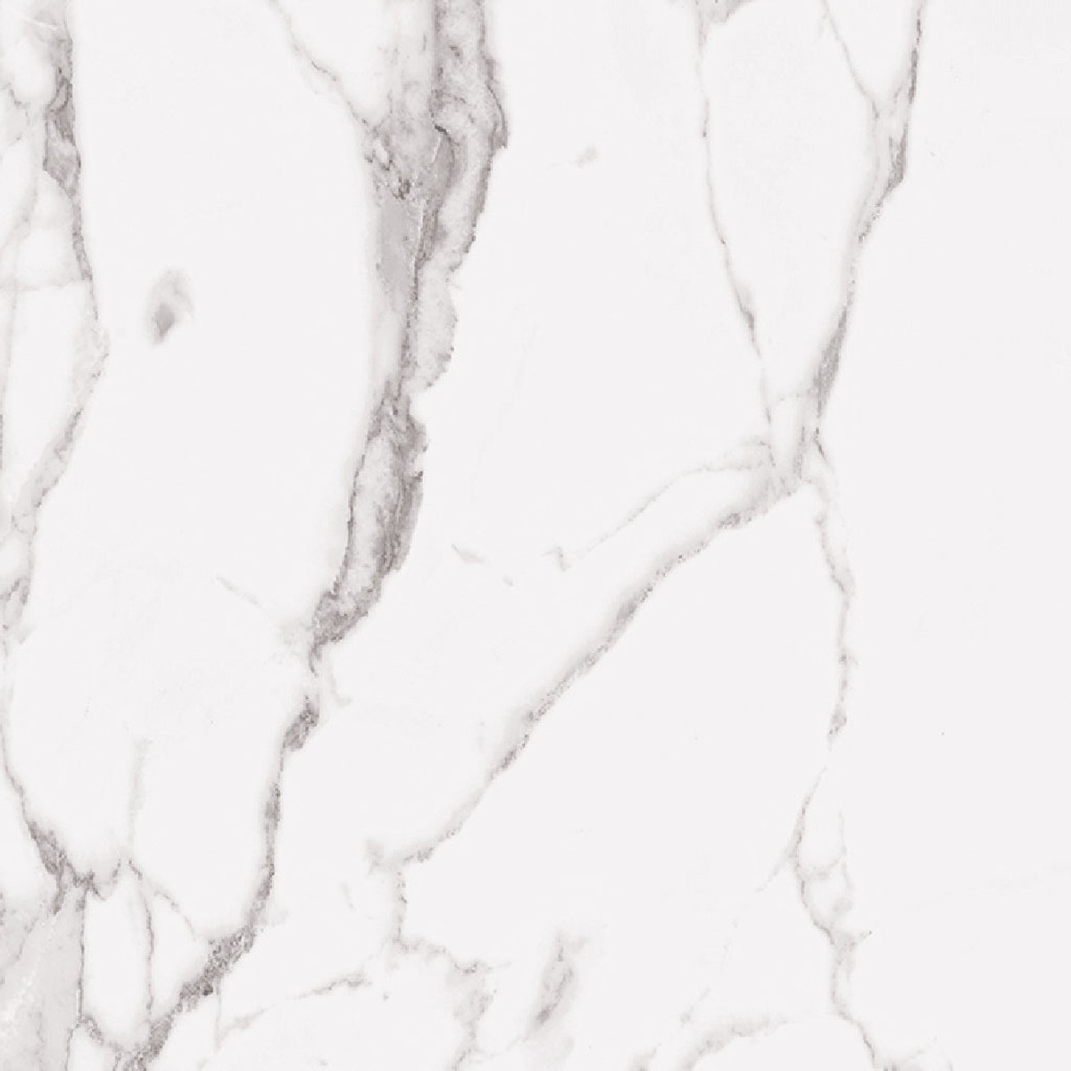 Statuary PO Floor Tile - Wall Or Floor Mount - 24 x 48 PorcelainPolished