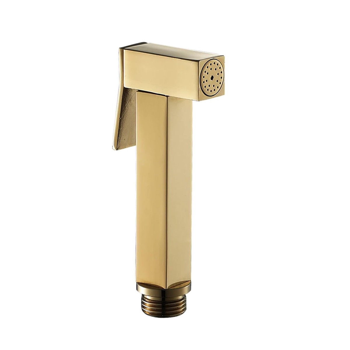 Devon Bidet Sprayer - Wall Mount - 4 BrassSatin Brass