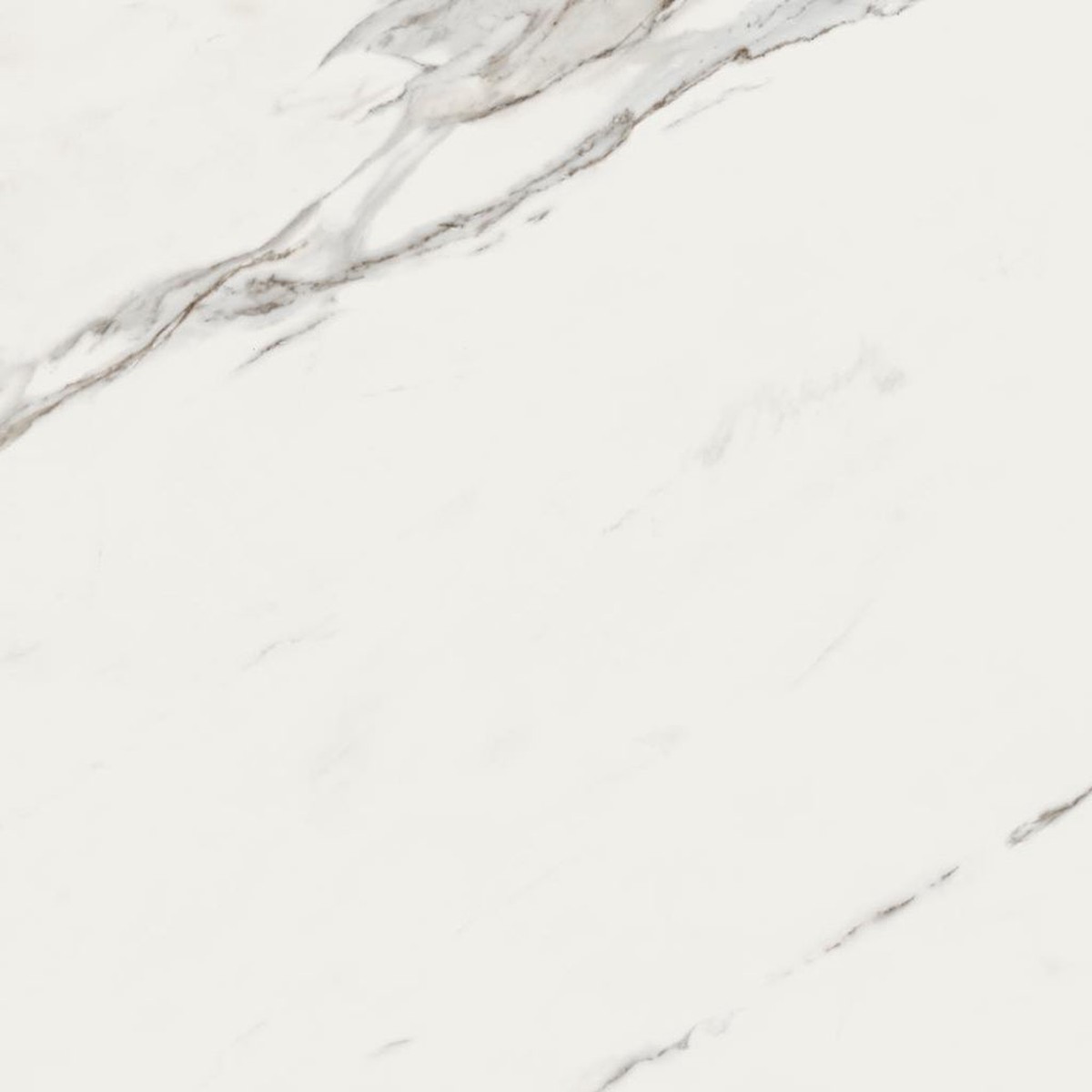 Calacatta Floor Tile - Wall Or Floor Mount - 354 x 354 PorcelainSuper White