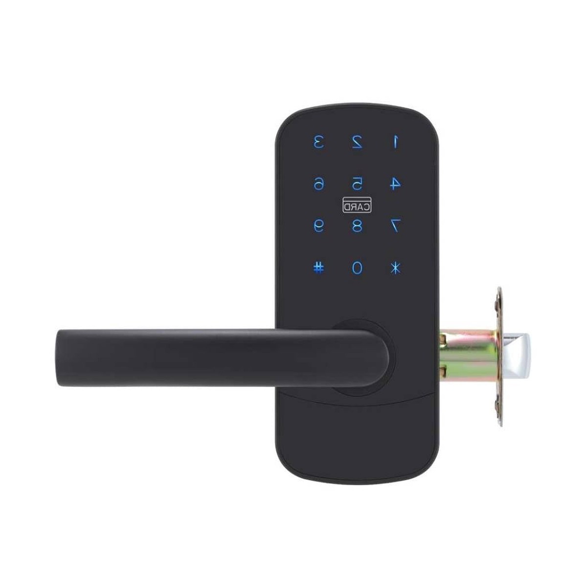 Focus LH Smart Locks - Door Mount - 6 BrassBlack