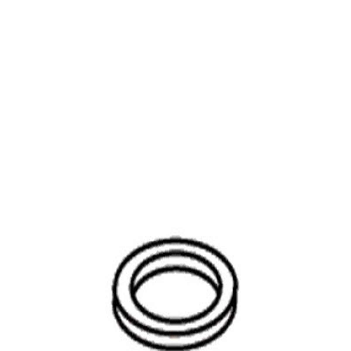 KOHLER K-47543 Hose Washer