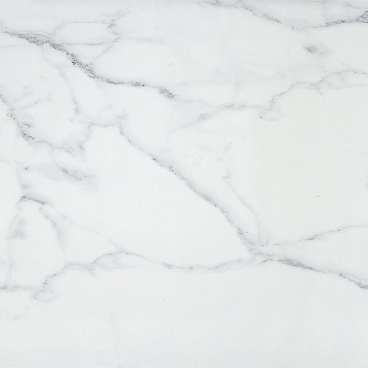 Slabs Carrara White PO Floor Tile - Wall Or Floor Mount - 48 x 48 PorcelainPolished