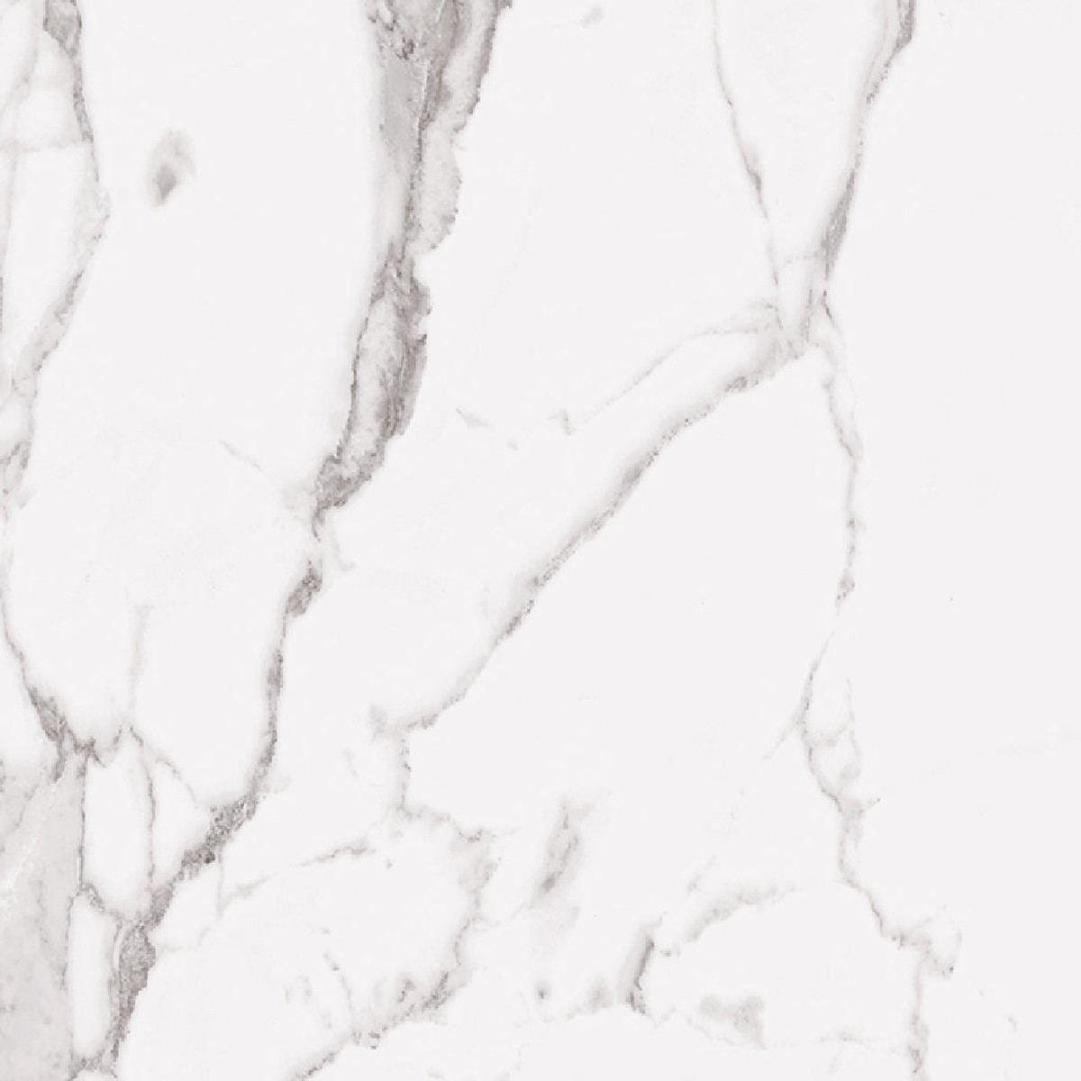 Statuary UP Floor Tile - Wall Or Floor Mount - 24 x 48 PorcelainUnpolished