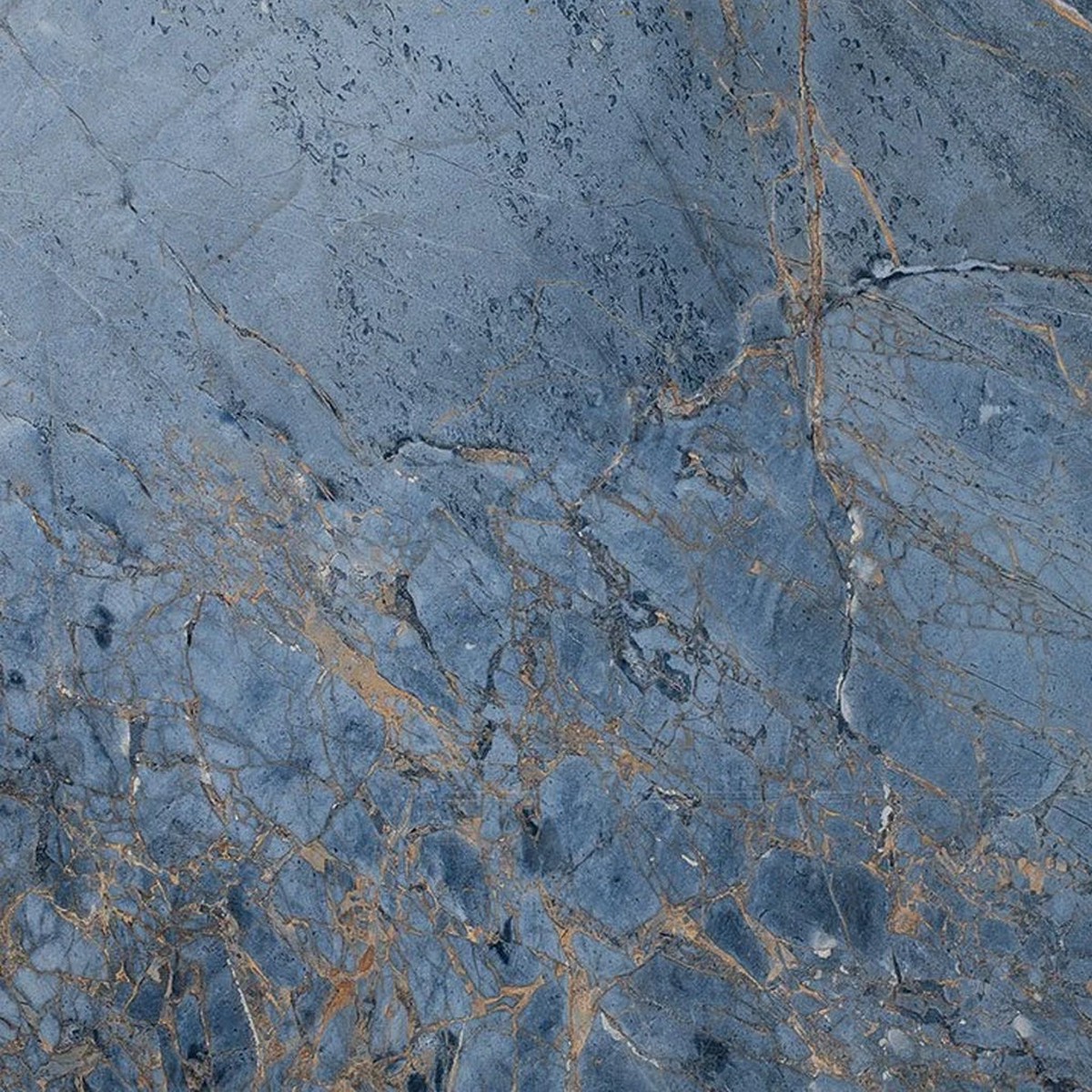 Slabs Marble Nouveau PO Wall Tile - Wall Mount - 48 x 48 PorcelainPolished