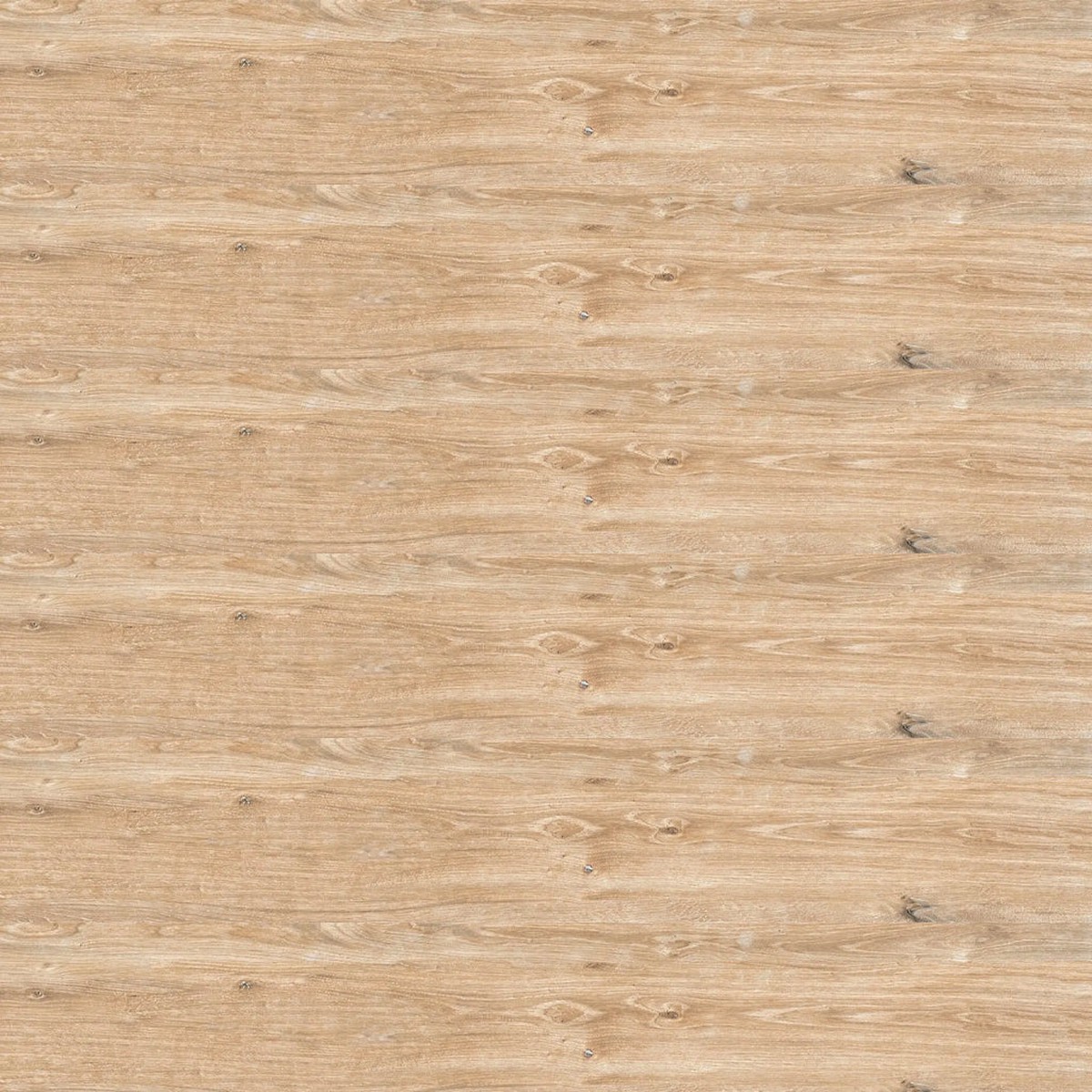 Everglade Forest Floor Tile - Floor Mount - 8 x 48 PorcelainGlazed