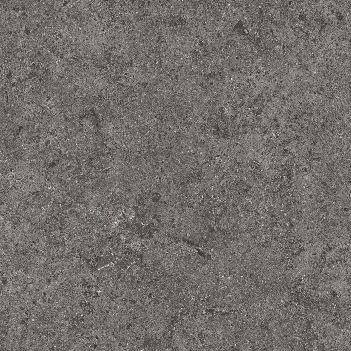 Lithology Basalt Graphite Wall Tile - Wall Or Floor Mount - 12 x 24 PorcelainGraphite