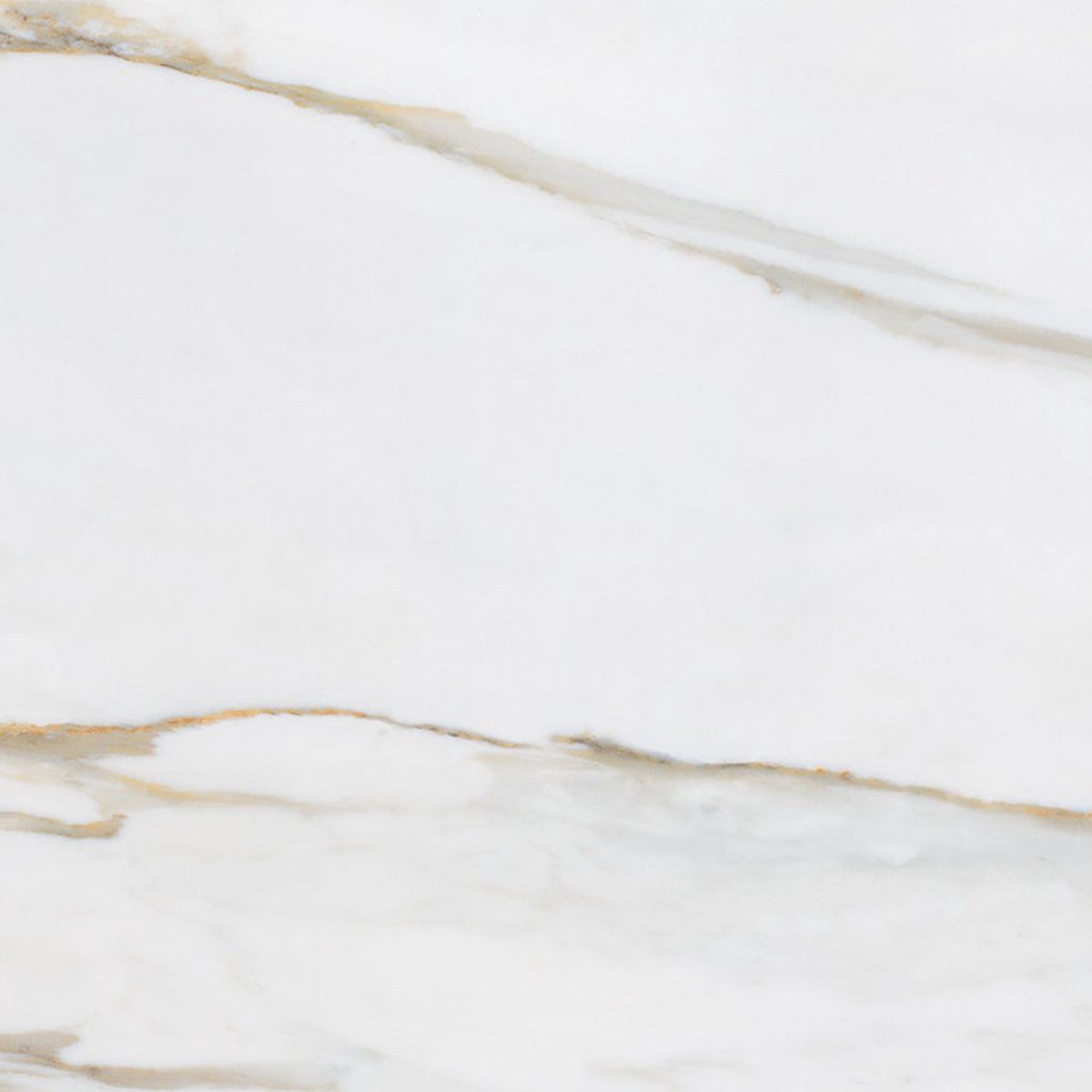 Slabs Calacata Gold UP Wall Tile - Wall Or Floor Mount - 24 x 48 PorcelainUnpolished