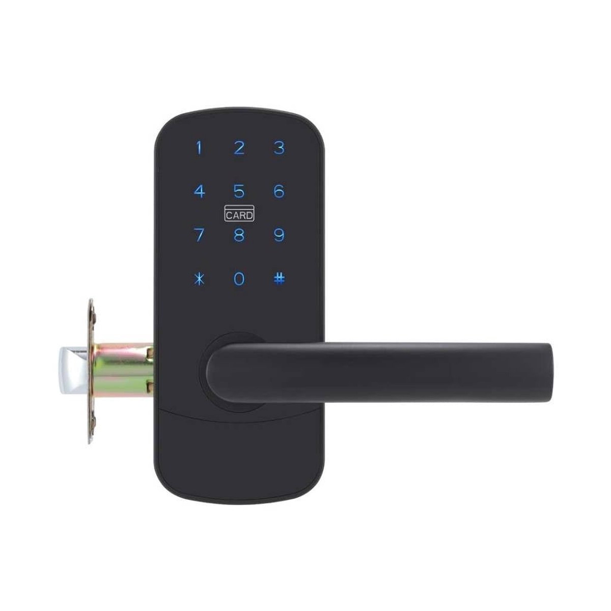 Focus RH Smart Locks - Door Mount - 6 BrassBlack