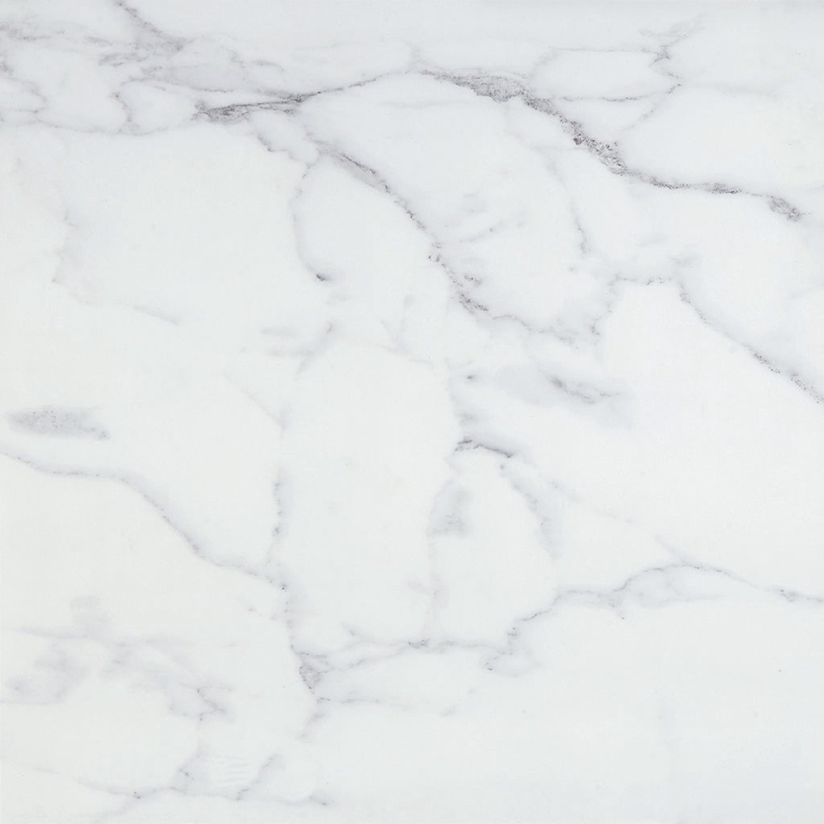 Slabs Carrara White UP Wall Tile - Wall Or Floor Mount - 48 x 48 PorcelainUnpolished