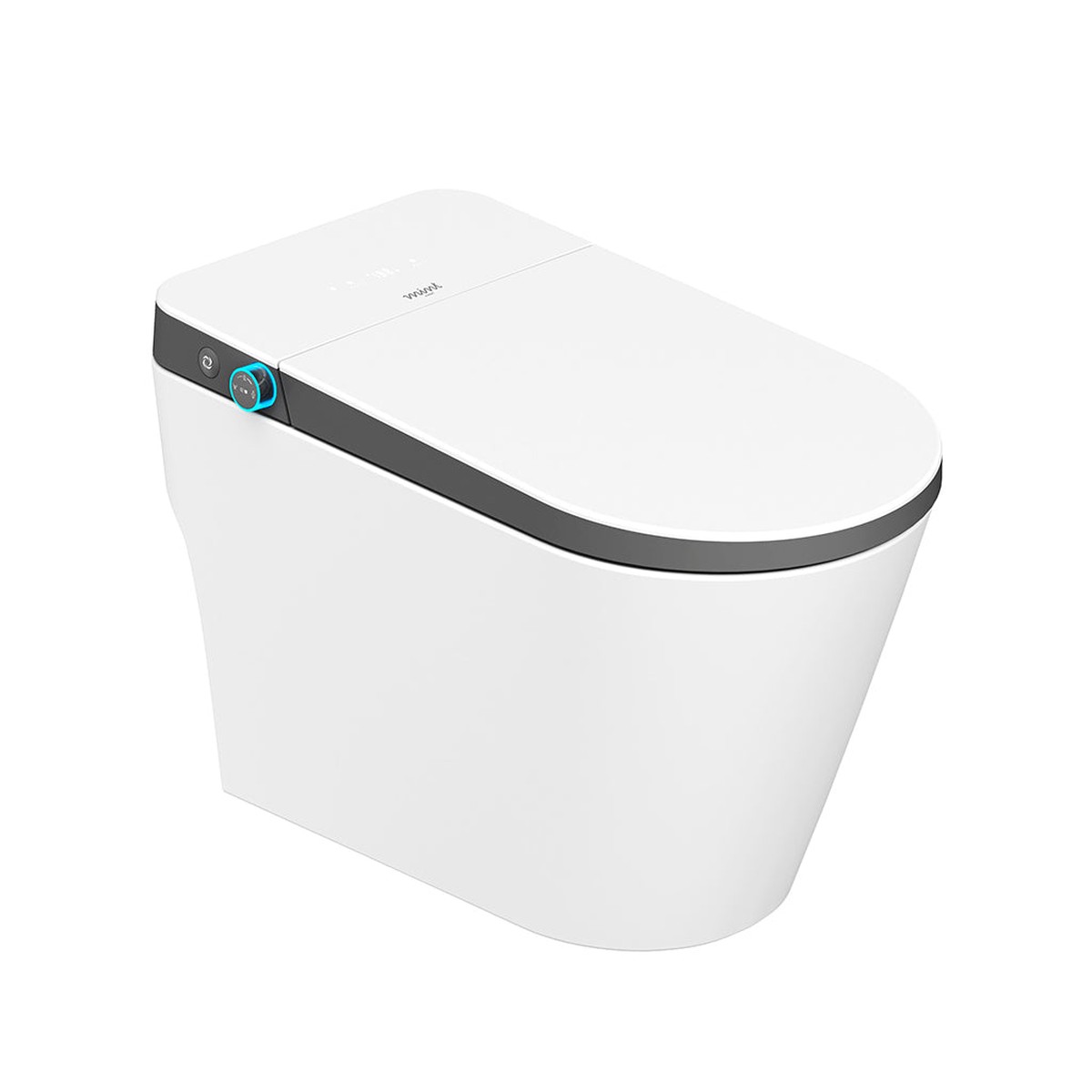 Mint Two Elongated Smart Toilets - Floor Mount - 15 Vitreous ChinaPolypropylene SeaWhiteBlack