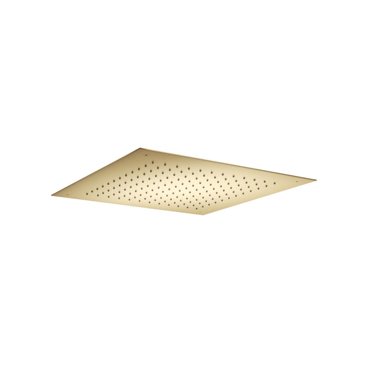 Universal Square Rainhead Shower Head - Ceiling Mount - 20 Stainless SteelSatin Brass