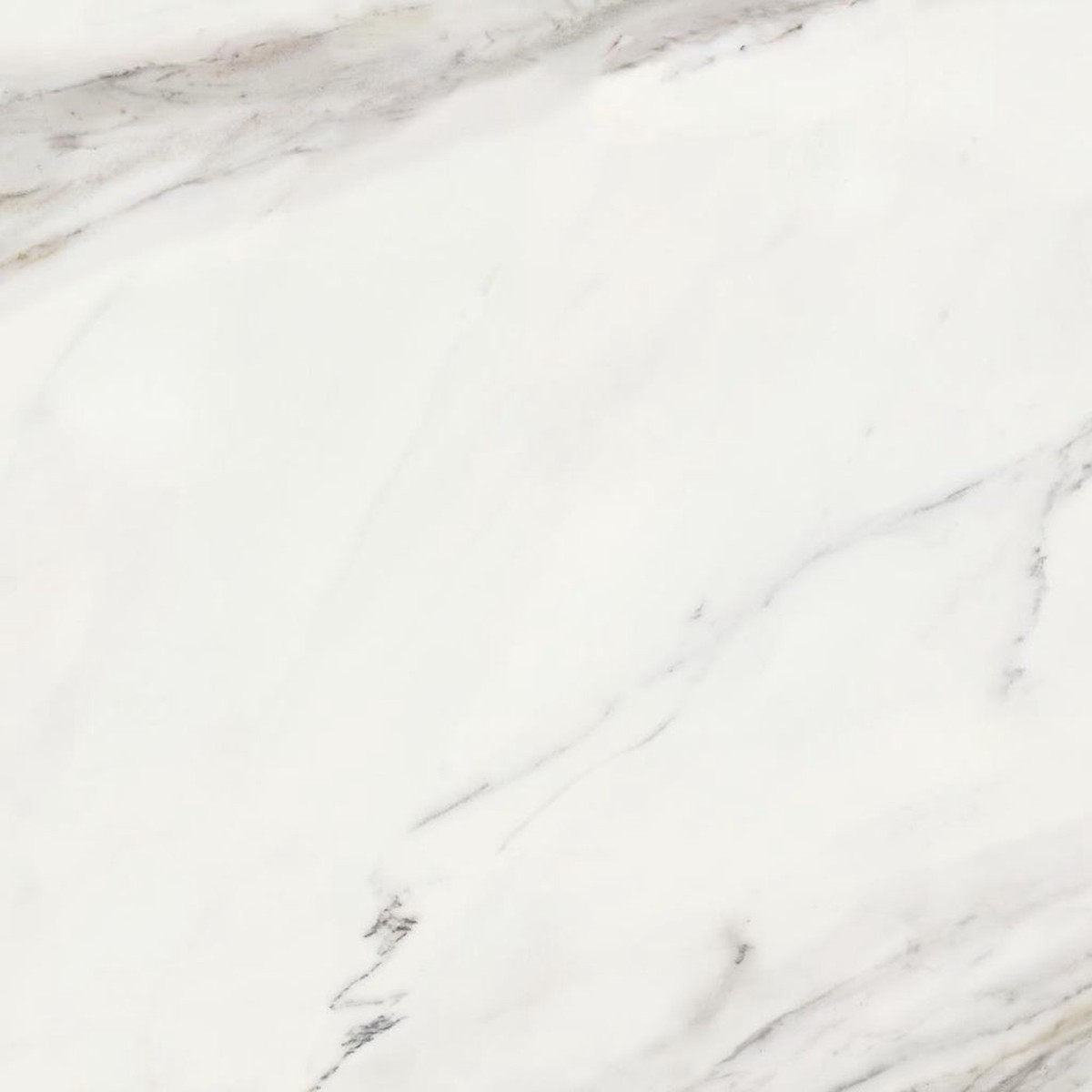 Calacatta Floor Tile - Wall Or Floor Mount - 236 x 236 PorcelainSuper White