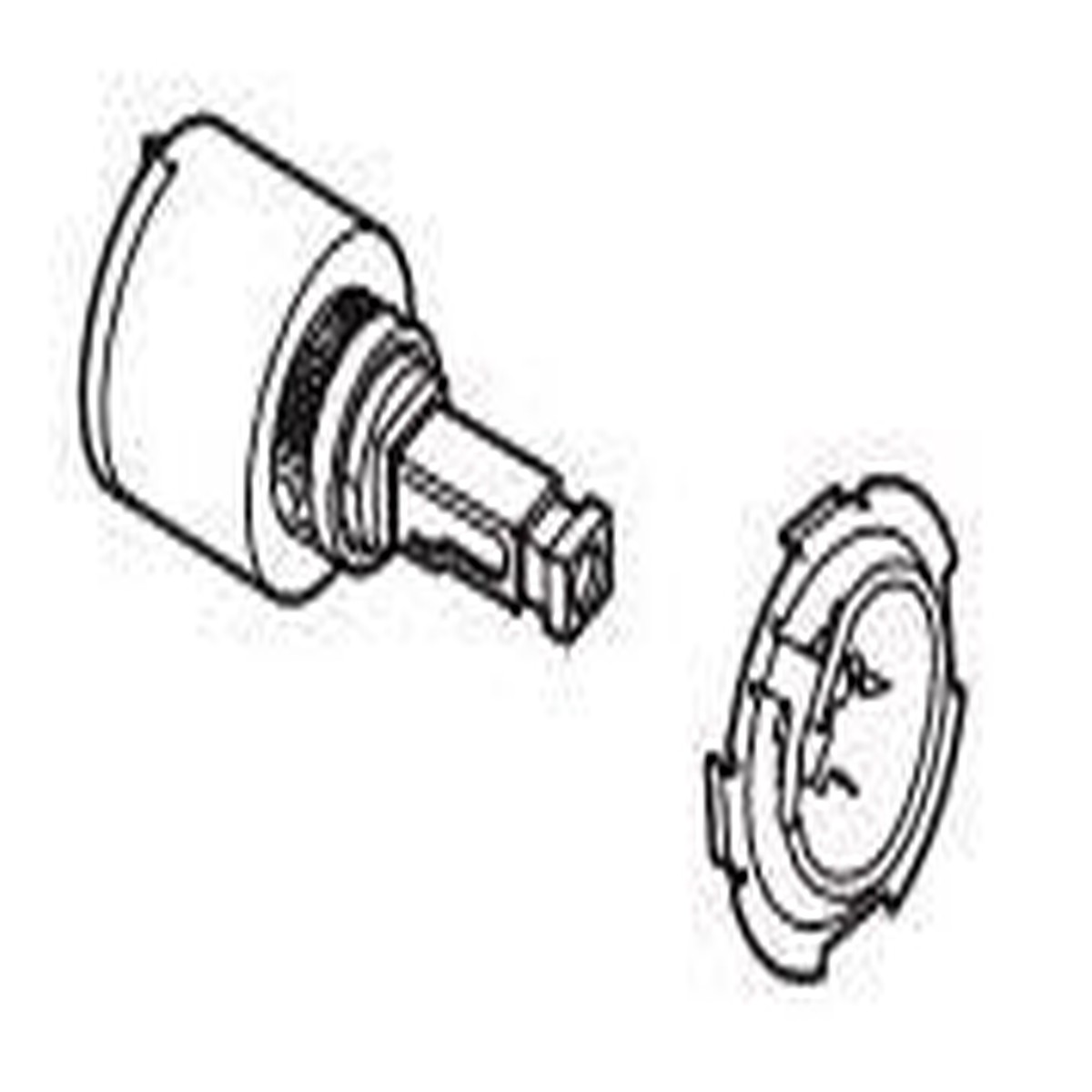Brizo RP64066 Valve Assembly with Contact Plate