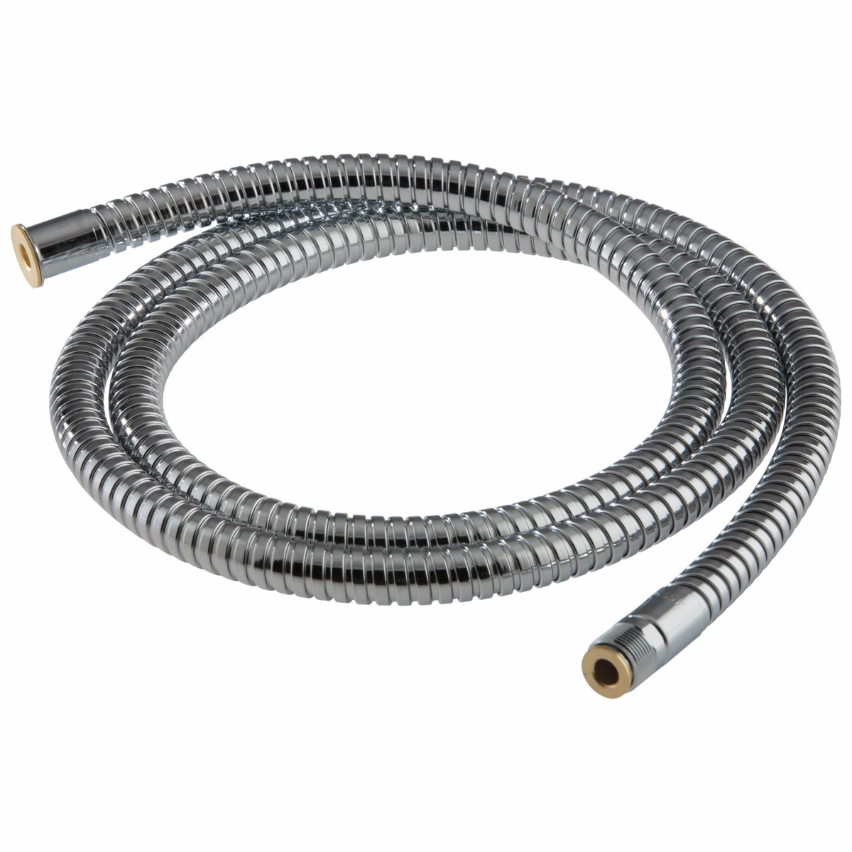 Brizo RP40664BNX Hose