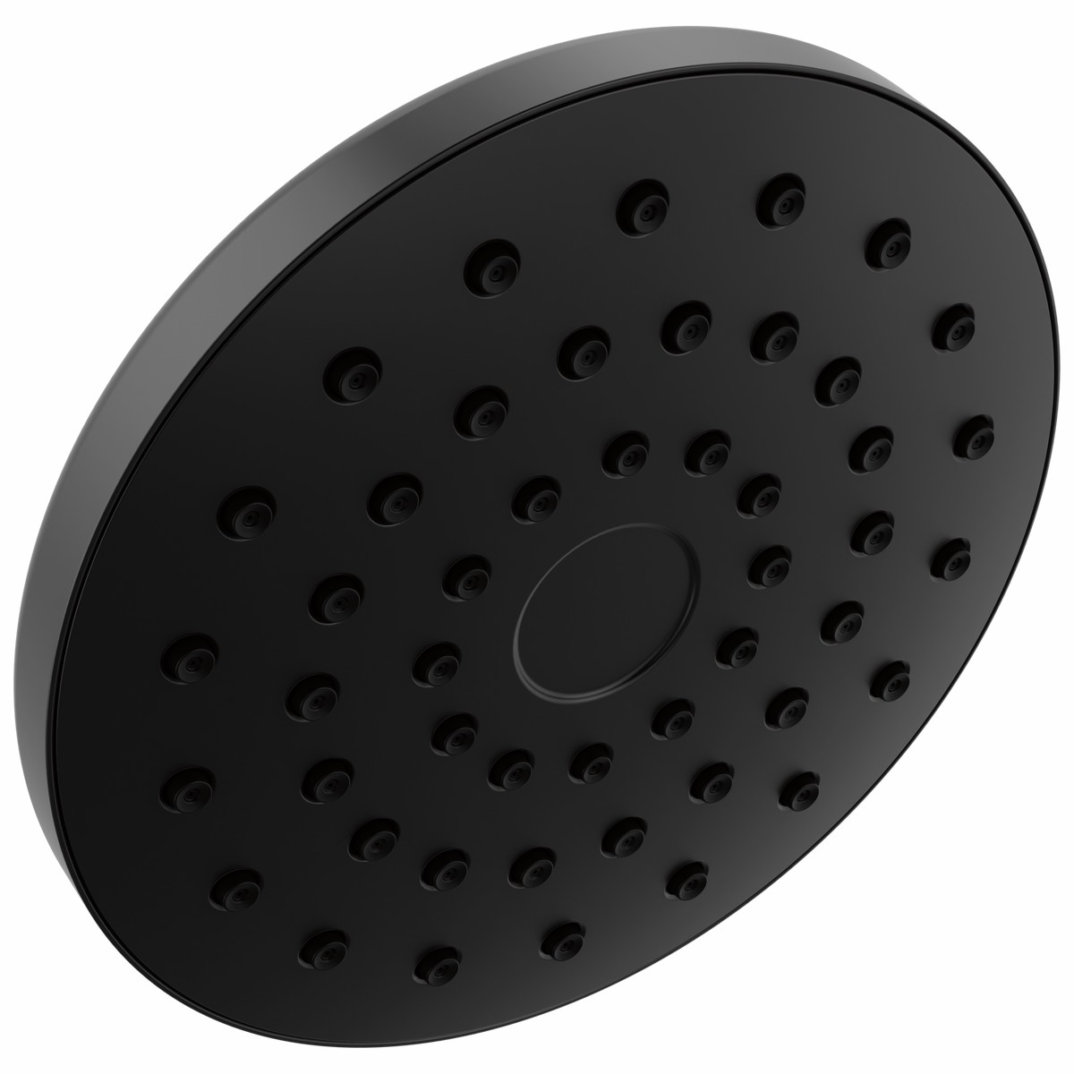 Delta Universal Showering Components 75104BL PivotPro Raincan Shower Head