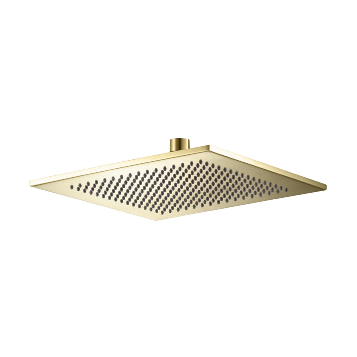 Universal Square Shower Head - Wall Mount - 10 BrassSatin Brass