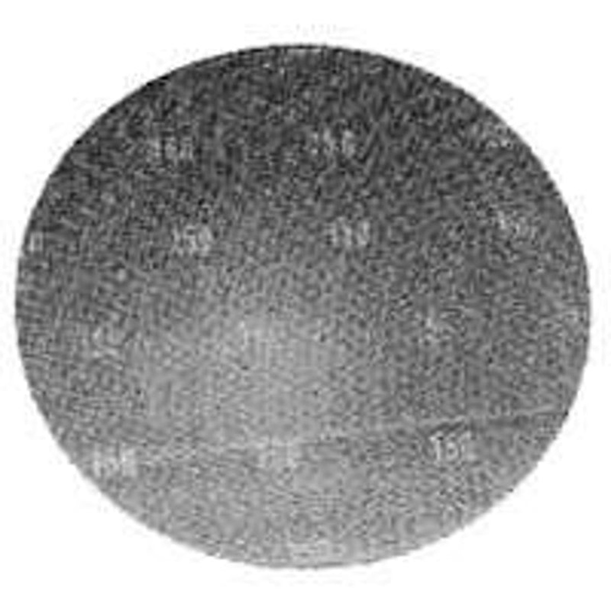 Essex Silver Line 17SC100 Sanding Disc 17 in Dia 100 Grit Fine Screen Cloth Backing Pack of 10