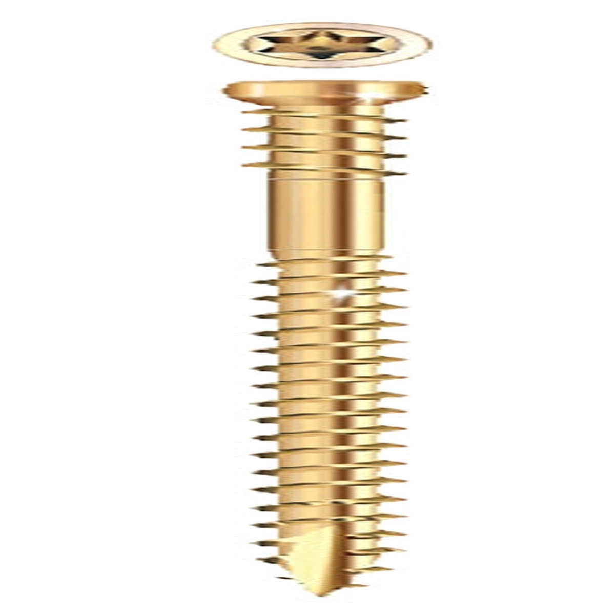 SCREW TRIM 8 IN
